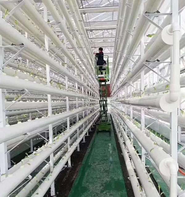 微型自行走升降平台 